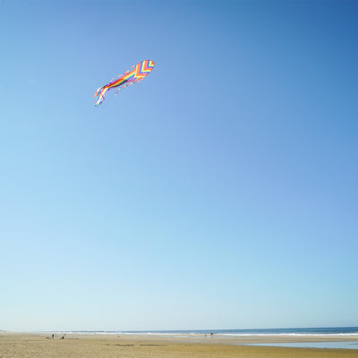 Alt text: "22-inch Rainbow Stripe Dancing Dragon Kite, featuring colorful tails and ripstop fabric, soaring in a sunny sky.