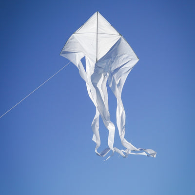 Alt Text: "White 77" Wave Delta Kite soaring in the sky with flowing tails, designed for family fun and outdoor adventures.