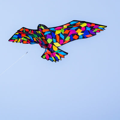 Alt text: "Colorful 70-inch Confetti Bird Kite soaring in a clear blue sky, showcasing its vibrant abstract design and equipped with a sturdy kite string.
