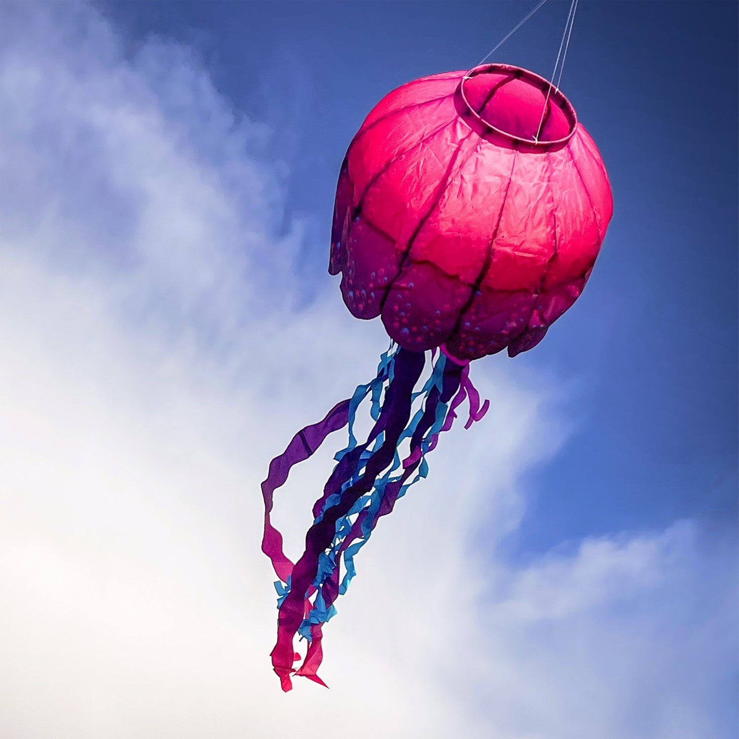 Colorful Jellyfish Big Breeze WindsockTM with flowing tentacles swaying in the wind, displayed in an outdoor setting to enhance the atmosphere.