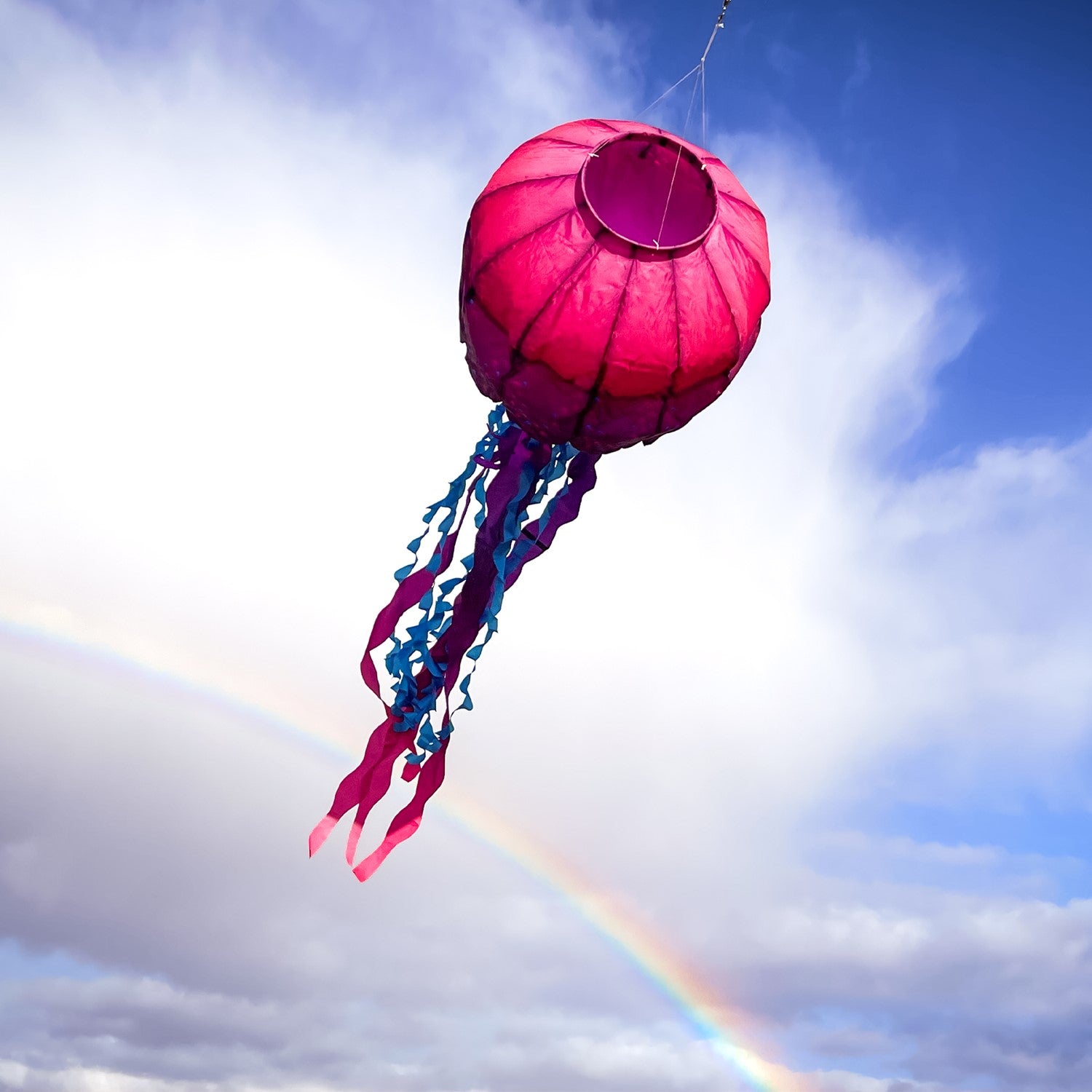 Colorful Jellyfish Big Breeze WindsockTM with flowing tentacles swaying in the wind, displayed in an outdoor setting to enhance the atmosphere.