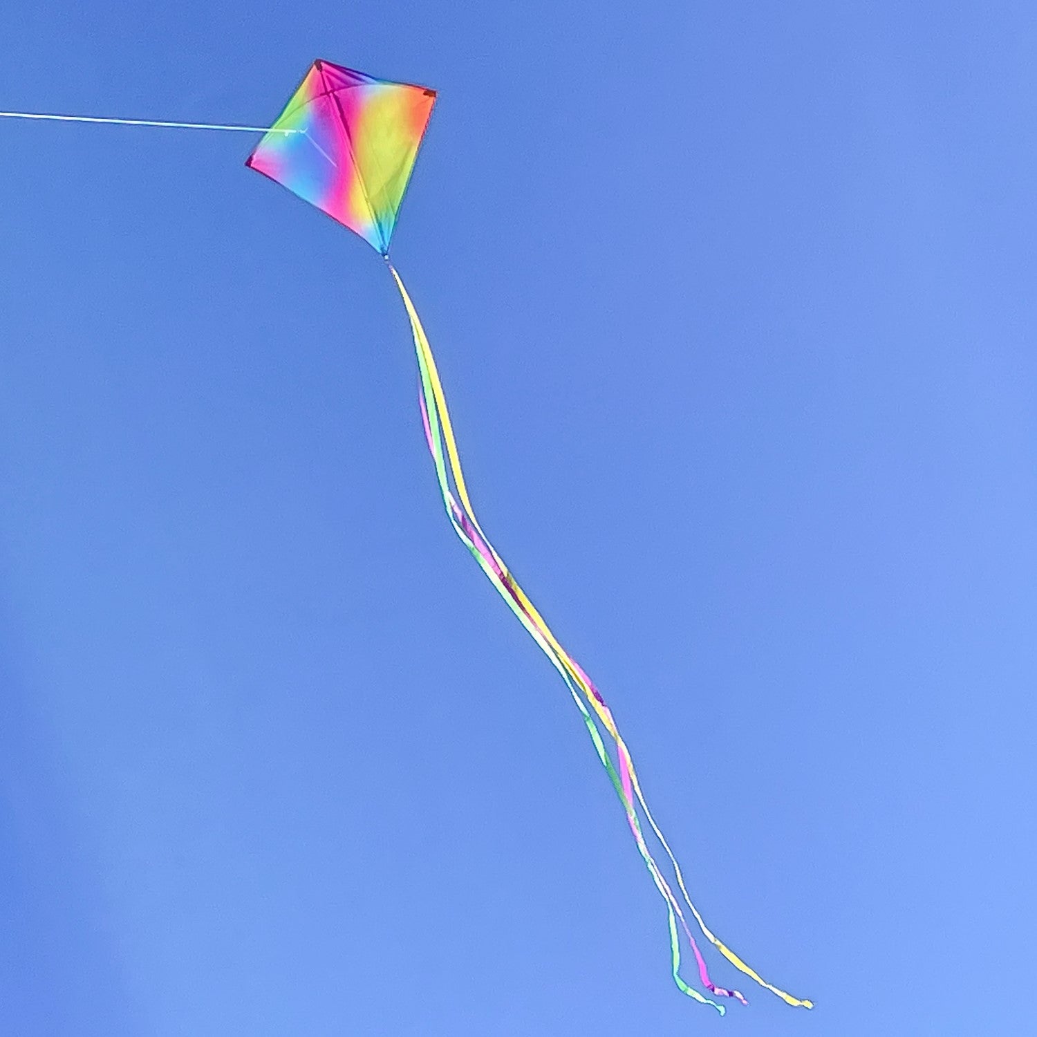 The Jewel 30" Diamond Kite features a vibrant color blend with a diamond shape, perfect for outdoor flying, complete with colorful tails for added fun.