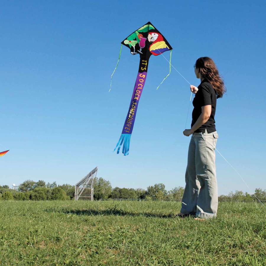 Jumbo Easy Flyer Kite - 5 O'Clock Somewhere in vibrant colors flying high against a clear blue sky, showcasing its stable design and beauty.