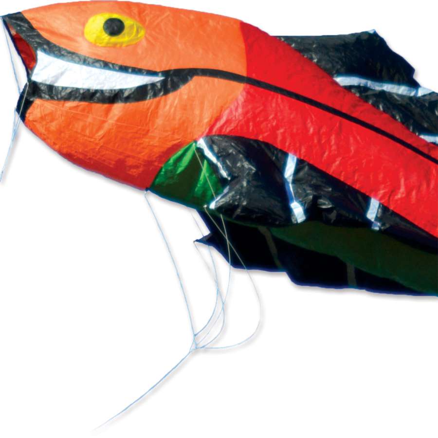Large Flying Fish Kite - Rainbow measuring 11 ft. long displayed against a clear blue sky, soaring gracefully during an outdoor event.