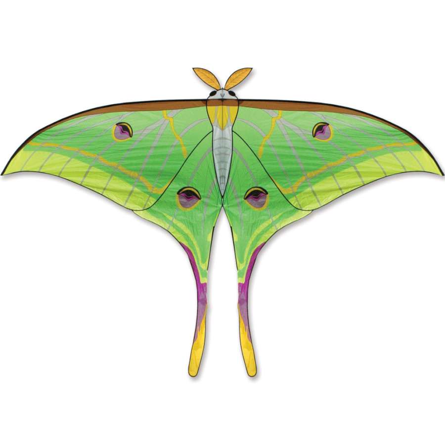 Vibrant Luna Moth Kite measuring 140 x 102 inches soaring high against a clear blue sky, showcasing intricate designs and colors.