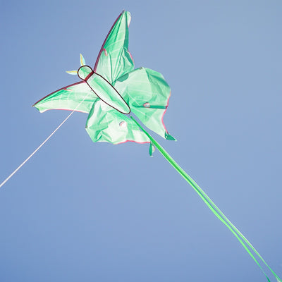 Luna Moth Kite in vibrant colors soaring in the sky with flowing tails, perfect for outdoor play and garden use.