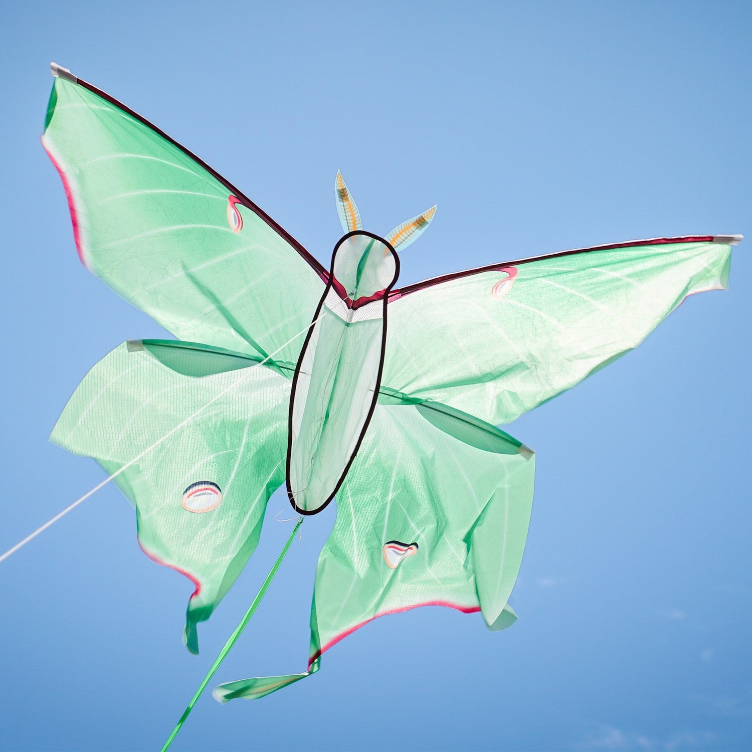 Luna Moth Kite in vibrant colors soaring in the sky with flowing tails, perfect for outdoor play and garden use.