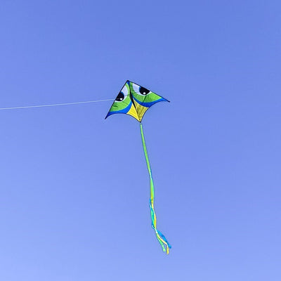 Manu Green 72" Delta Kite in colorful design with 12-foot streamer tail flying high against a clear blue sky during outdoor play.