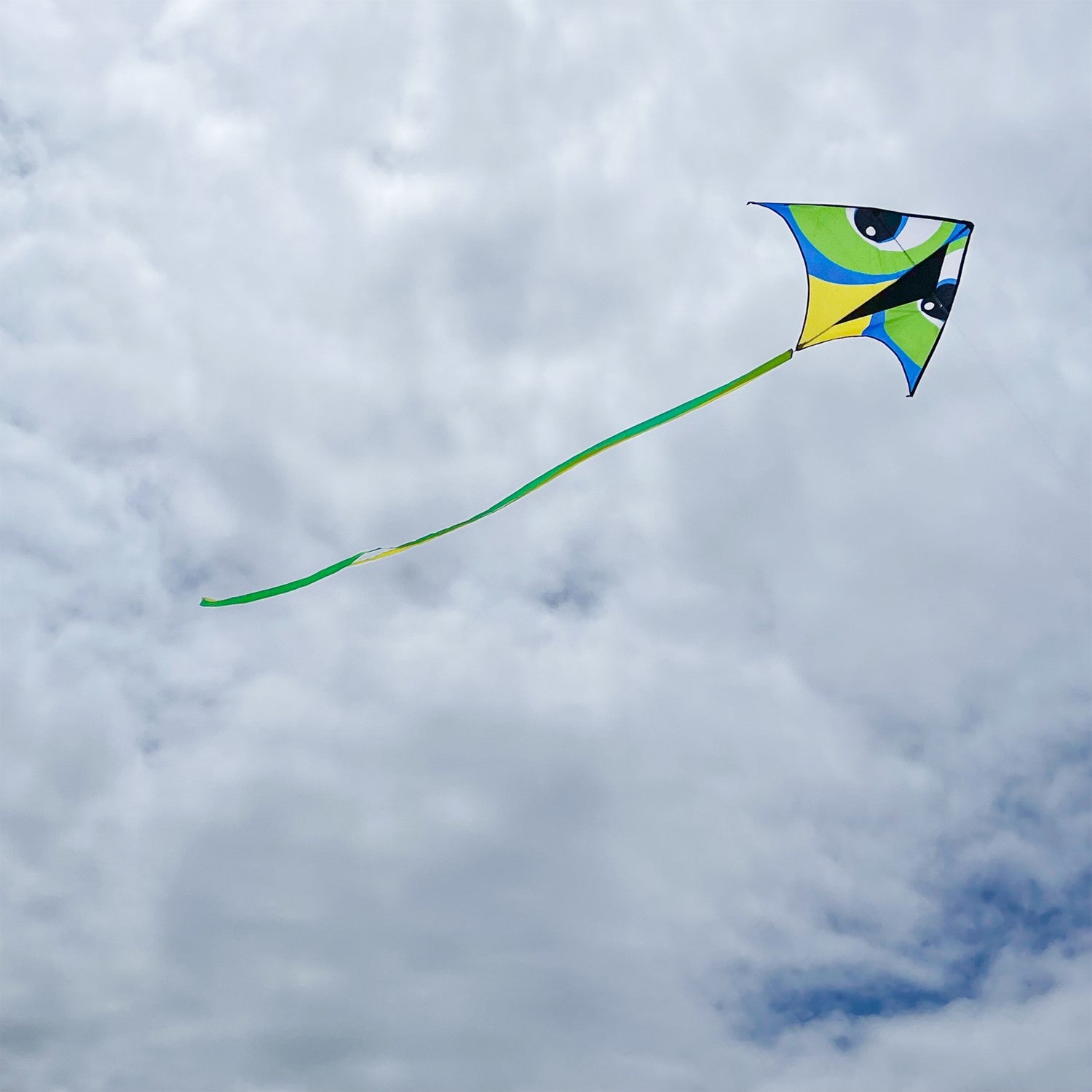 Manu Green 72" Delta Kite in colorful design with 12-foot streamer tail flying high against a clear blue sky during outdoor play.