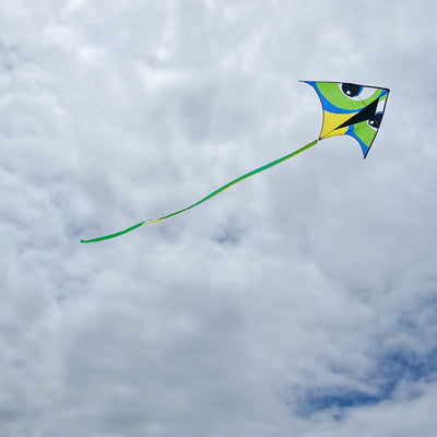 Manu Green 72" Delta Kite in colorful design with 12-foot streamer tail flying high against a clear blue sky during outdoor play.