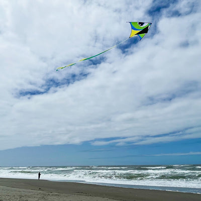 Manu Green 72" Delta Kite in colorful design with 12-foot streamer tail flying high against a clear blue sky during outdoor play.