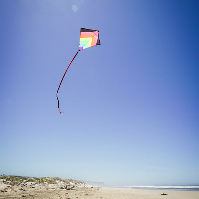 Neon Fiesta 30' Diamond Kite flying in a clear blue sky, featuring bright colors and long flowing tails, showcasing its stunning design.