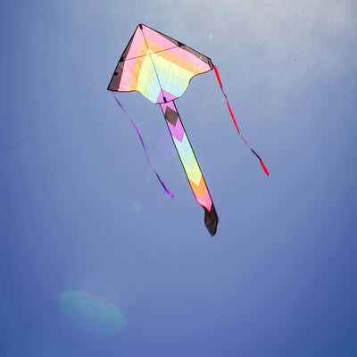 Neon Fiesta 46-inch Fly-Hi Kite soaring high in a blue sky, featuring a vibrant printed design and streamer tails, ideal for family enjoyment.