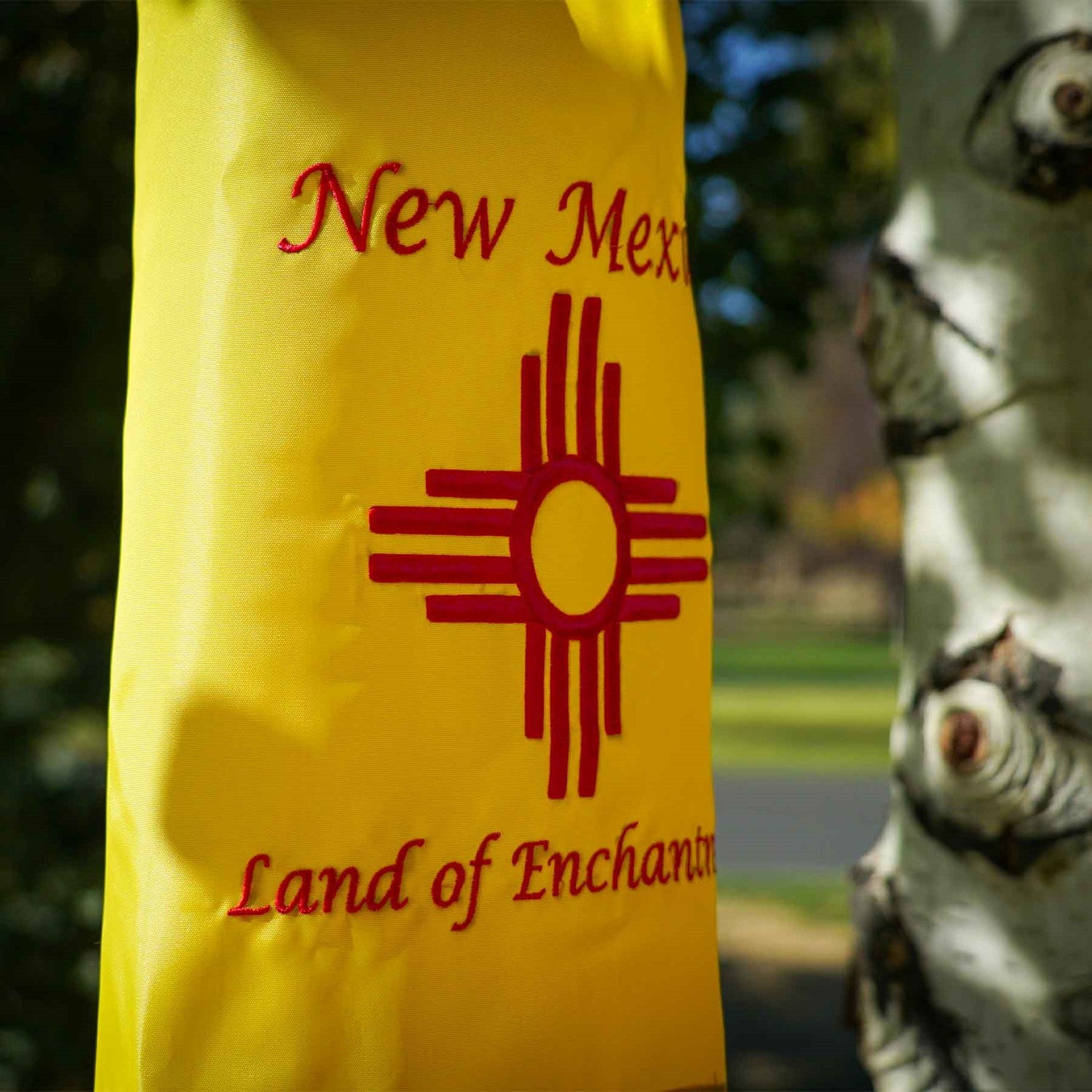 New Mexico 40 inch windsock displaying colorful appliqued graphics and fluttering tails against a backdrop of blue sky.