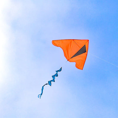 Orange Colorblock Delta Kite with Teal Blue Twister Tail flying against a clear blue sky, showcasing its vibrant colors in an outdoor setting.