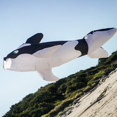 Orca Big Breeze WindsockTM featuring a vibrant 3D design of an orca whale, inflating in the wind and hanging in a sunny outdoor setting.
