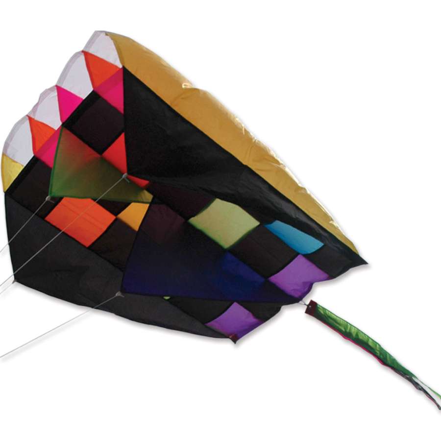 Parafoil 5 Kite - Rainbow Tecmo soaring against a clear sky, with a striking rainbow design and five colorful streamers enhancing its visual appeal.