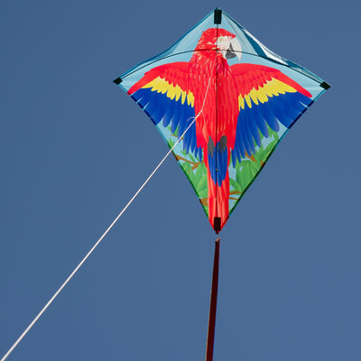 Parrot 30" Diamond Kite featuring colorful macaw design, easily flying in the sky, showcasing its vibrant tails and durable materials for outdoor fun.