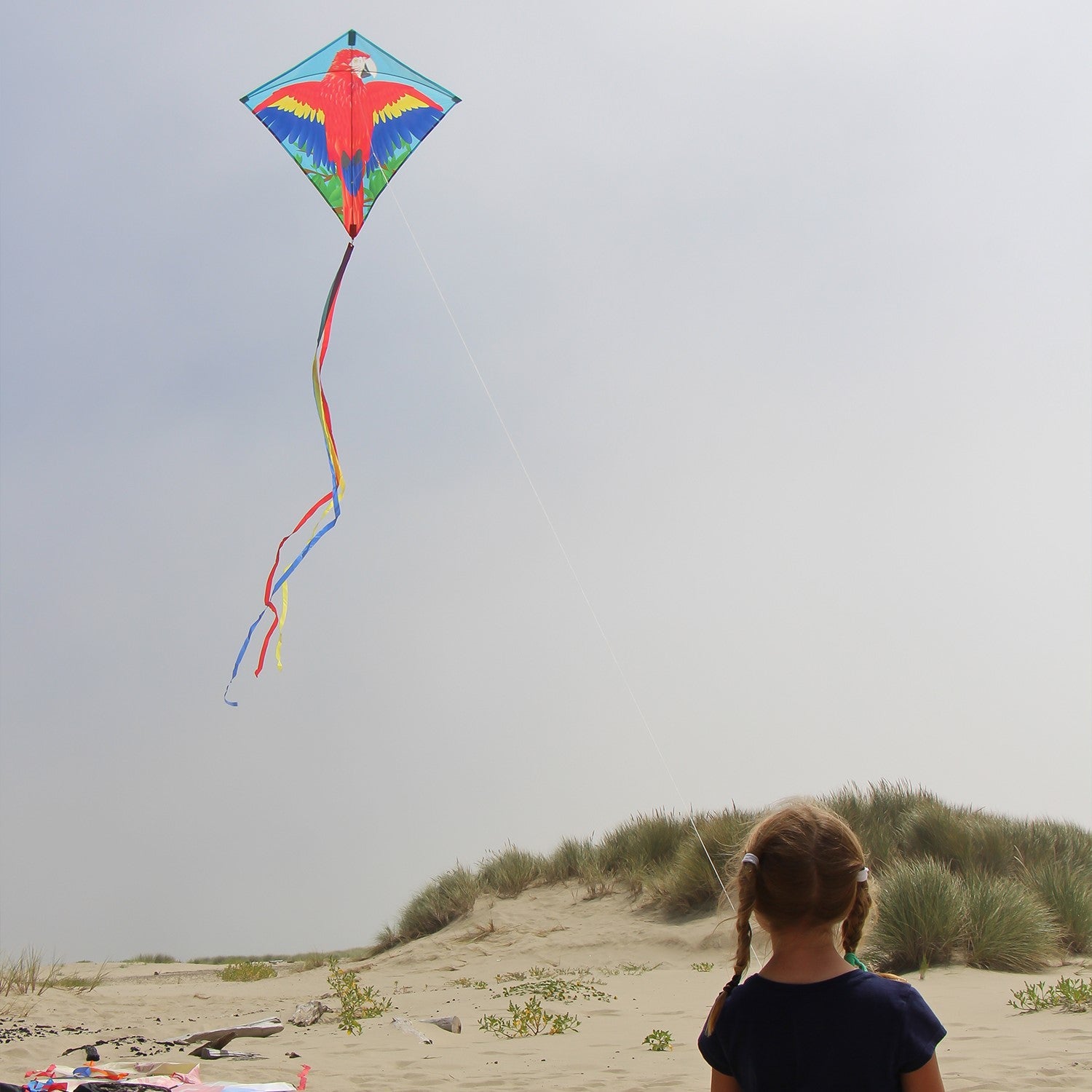 Parrot 30" Diamond Kite featuring colorful macaw design, easily flying in the sky, showcasing its vibrant tails and durable materials for outdoor fun.