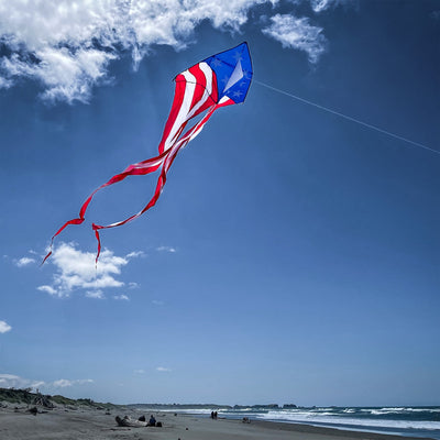 Patriotic 56" Delta kite featuring red, white, and blue stars and stripes with long tails, soaring in bright blue sky against a backdrop of fluffy clouds.