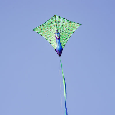 Colorful Peacock 30-inch Diamond Kite flying in the blue sky with vibrant feather design and tails trailing behind, perfect for kids and families.