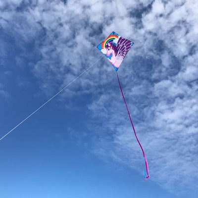 Pegasus 30" Diamond Kite displayed soaring in a clear sky, showcasing colorful designs and attached tails, ideal for outdoor enjoyment.
