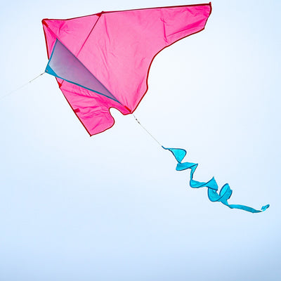 Colorful Pink/Aqua Colorblock Delta Kite with twister tail soaring high against a clear blue sky during outdoor play.