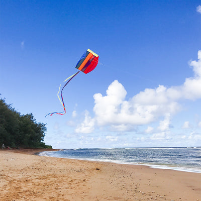 Pouch Parafoil Kite flying majestically in a partly cloudy sky, featuring vibrant rainbow colors and a streamlined design for easy flight.