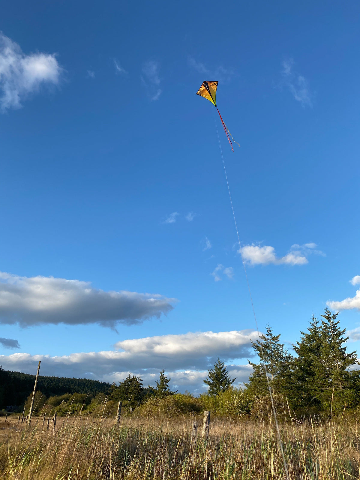 Infrared Prism Vertex diamond kite flying high over an open field with its ribbon tail streaming