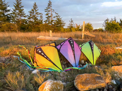 Three Prism Vertex diamond kites resting on the grass at sunset with their ribbon tails