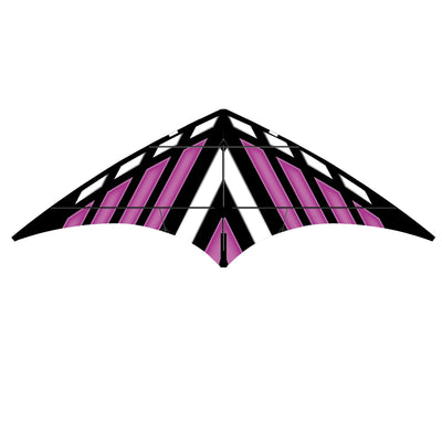 Purple DC Sport 70 Kite showcasing vibrant purple color and dual-line design, set against a clear blue sky ready for flight at an outdoor location.