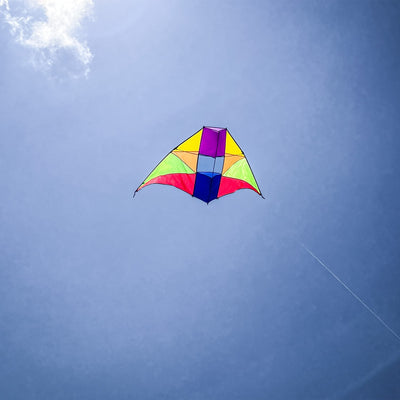 Rainbow 6' Conyne Delta Kite soaring high against a clear blue sky, displaying its bright colors and hybrid design, perfect for outdoor activities.