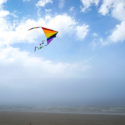 Rainbow 7' Delta Combo Kite with colorful twister tail and streamers in flight, displaying vibrant rainbow colors against a blue sky.