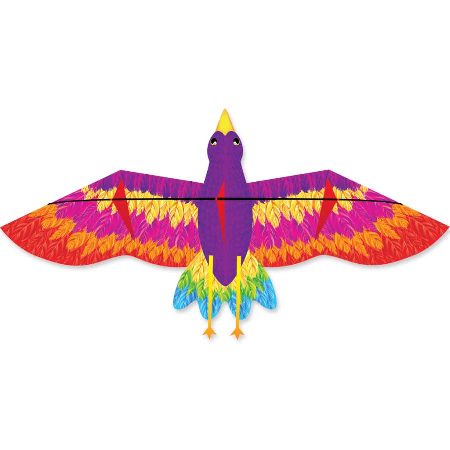 Rainbow Bird Kite soaring in the sky, featuring a colorful bird design, measuring 78 x 34 inches and designed for outdoor flying fun.