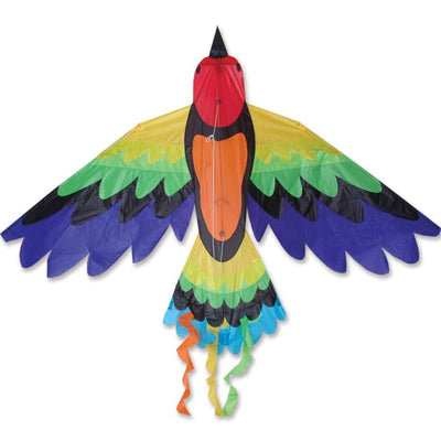 Rainbow Bird Kite measuring 70x36 inches, showcasing bright colors and detailed applique work, displayed against a clear blue sky.