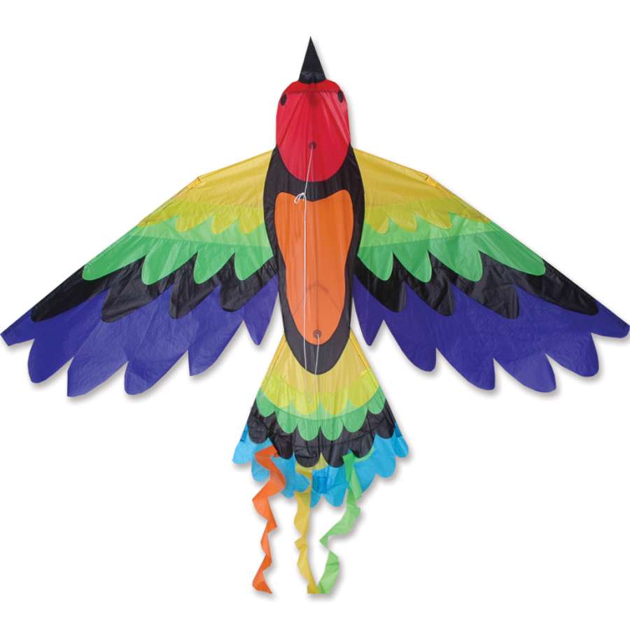 Rainbow Bird Kite measuring 70x36 inches, showcasing bright colors and detailed applique work, displayed against a clear blue sky.