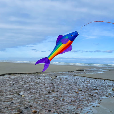 Rainbow Fishy 48-inch Fishsock in vibrant colors hanging gracefully in a garden setting, showcasing its playful design and durable construction.