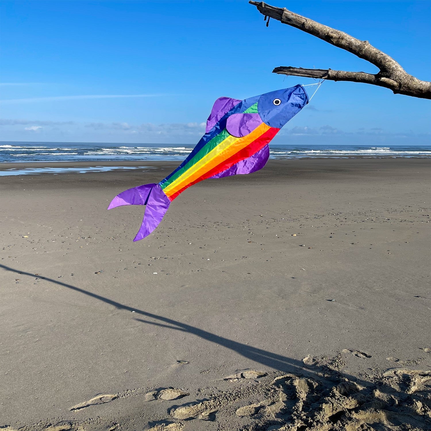 Rainbow Fishy 48-inch Fishsock in vibrant colors hanging gracefully in a garden setting, showcasing its playful design and durable construction.