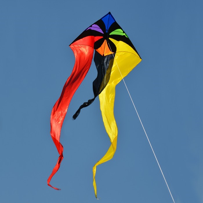 Rainbow Flux 52 inch Wave Delta Kite in vibrant rainbow colors seen soaring in a clear blue sky against a backdrop of grassy outdoors.