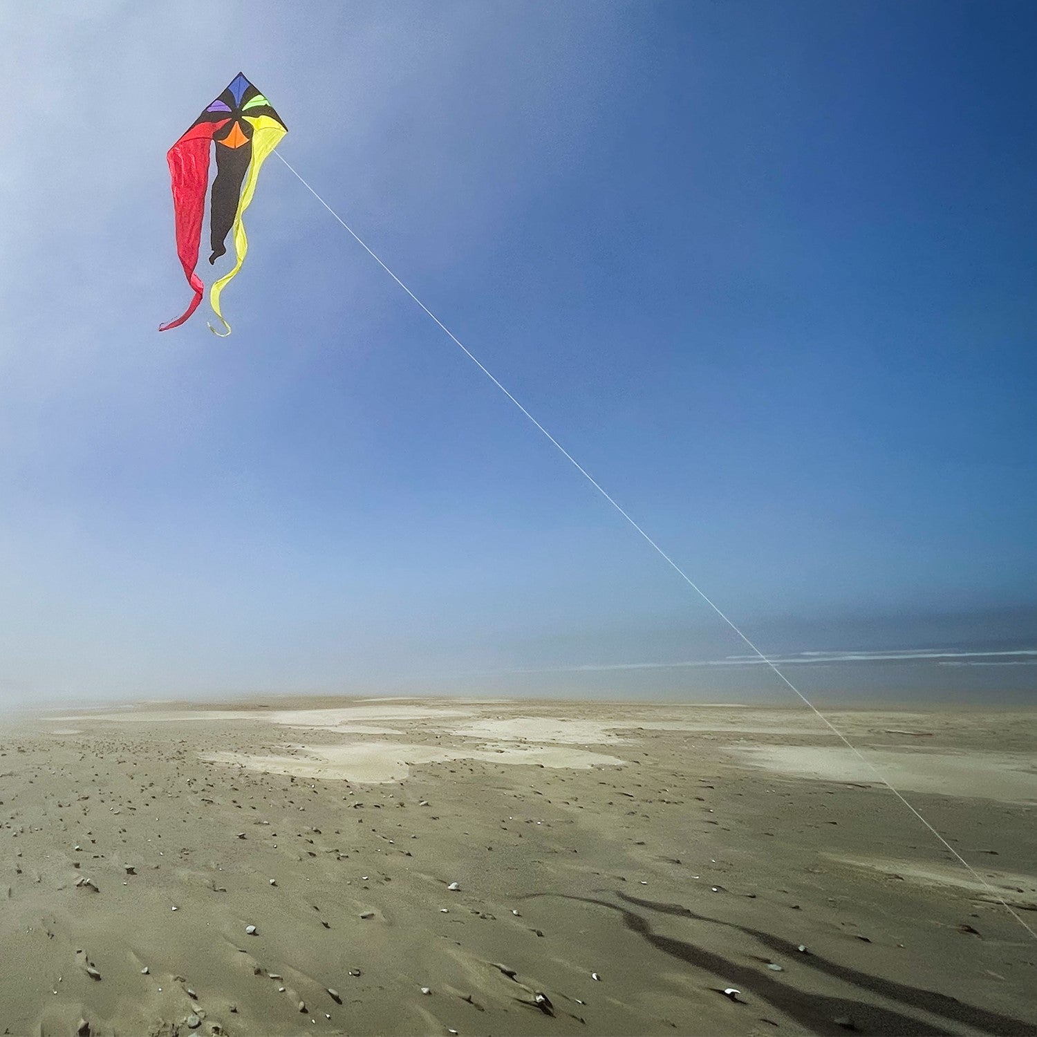 Rainbow Flux 52 inch Wave Delta Kite in vibrant rainbow colors seen soaring in a clear blue sky against a backdrop of grassy outdoors.