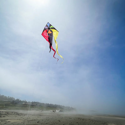 Rainbow Flux 52 inch Wave Delta Kite in vibrant rainbow colors seen soaring in a clear blue sky against a backdrop of grassy outdoors.