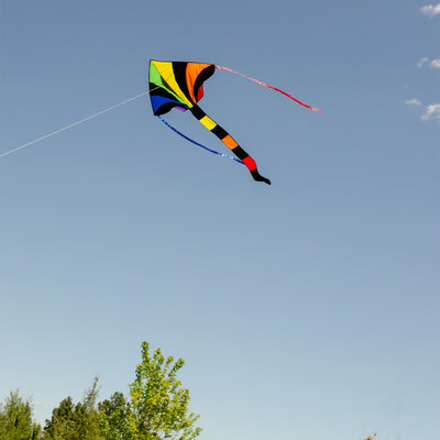 Capture the excitement of flying the Rainbow Sparkler Fly-Hi Kite, a vibrant and colorful kite designed for family fun and outdoor play, soaring against the sky.