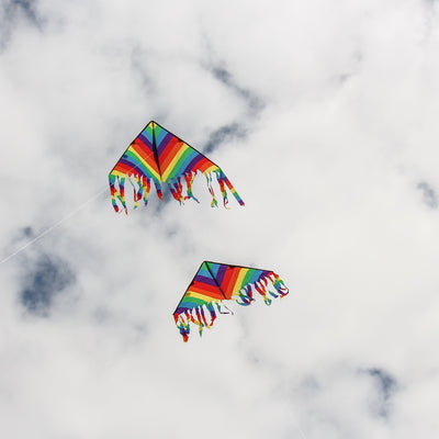 Rainbow Stripe 43" Flutterfly Delta kite soaring in the sky with colorful fluttering tails, perfect for outdoor fun and family activities.