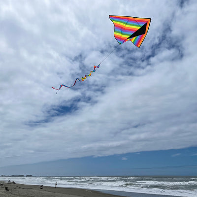 Rainbow Stripe 72'' Delta kite with colorful spinning tail flying in a blue sky above a park setting, showcasing its vibrant design and construction.