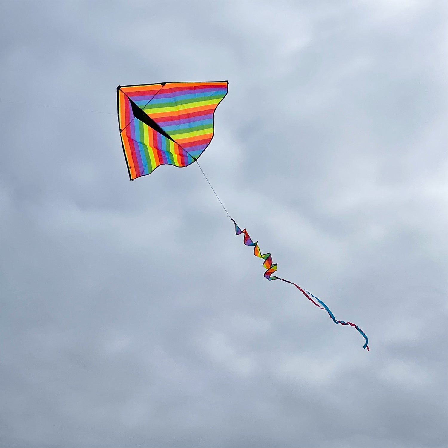 Rainbow Stripe 72'' Delta kite with colorful spinning tail flying in a blue sky above a park setting, showcasing its vibrant design and construction.