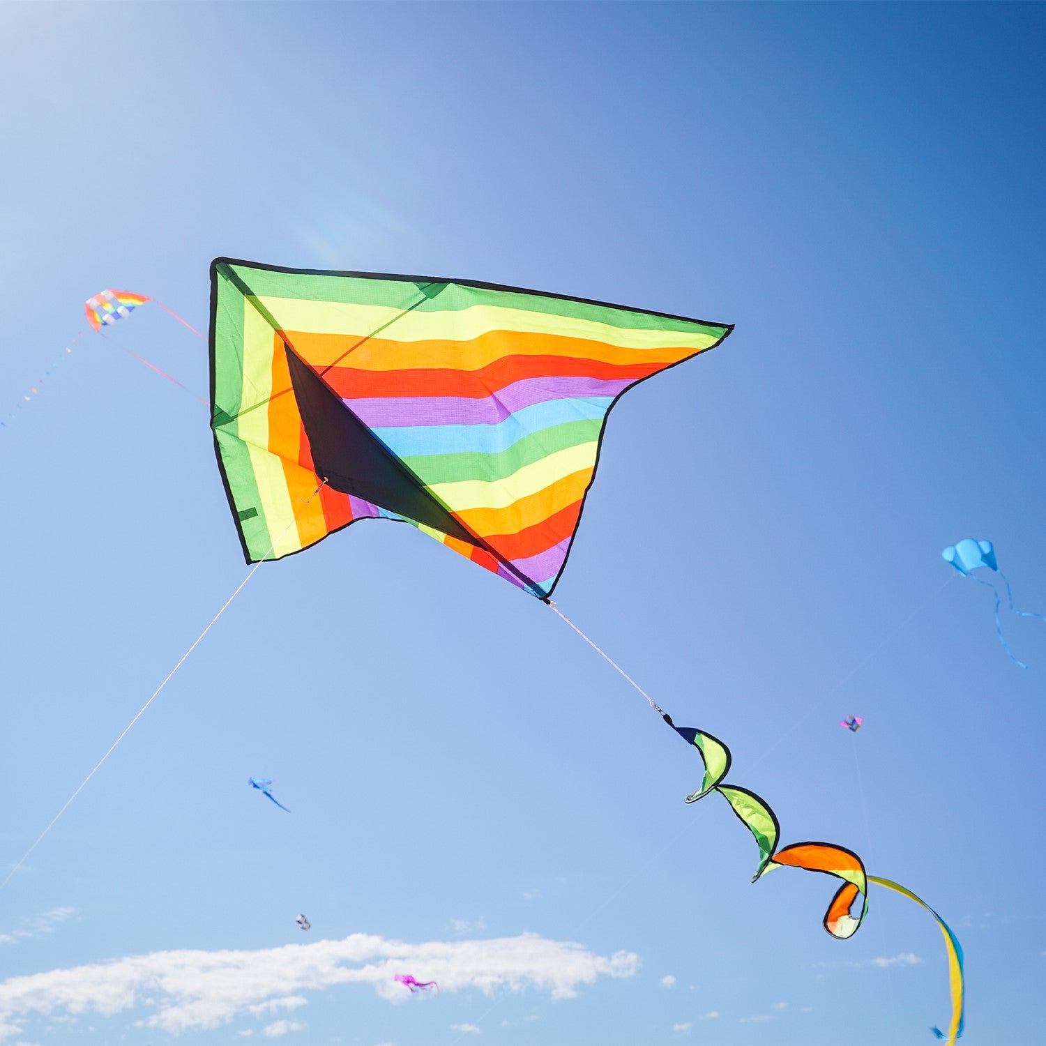 Rainbow Stripe Delta kite with a curlie spinning tail flying against a clear blue sky and green grass backdrop, showcasing its vibrant colors.