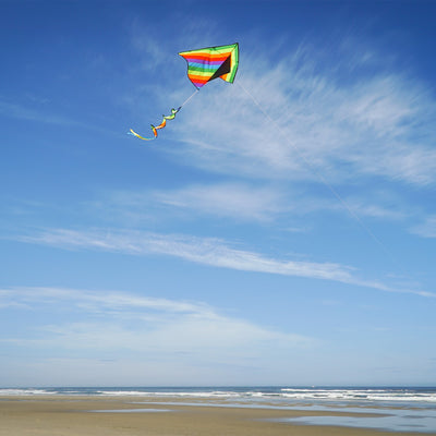 Rainbow Stripe Delta kite with a curlie spinning tail flying against a clear blue sky and green grass backdrop, showcasing its vibrant colors.