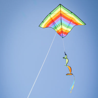 Rainbow Stripe Delta kite with a curlie spinning tail flying against a clear blue sky and green grass backdrop, showcasing its vibrant colors.