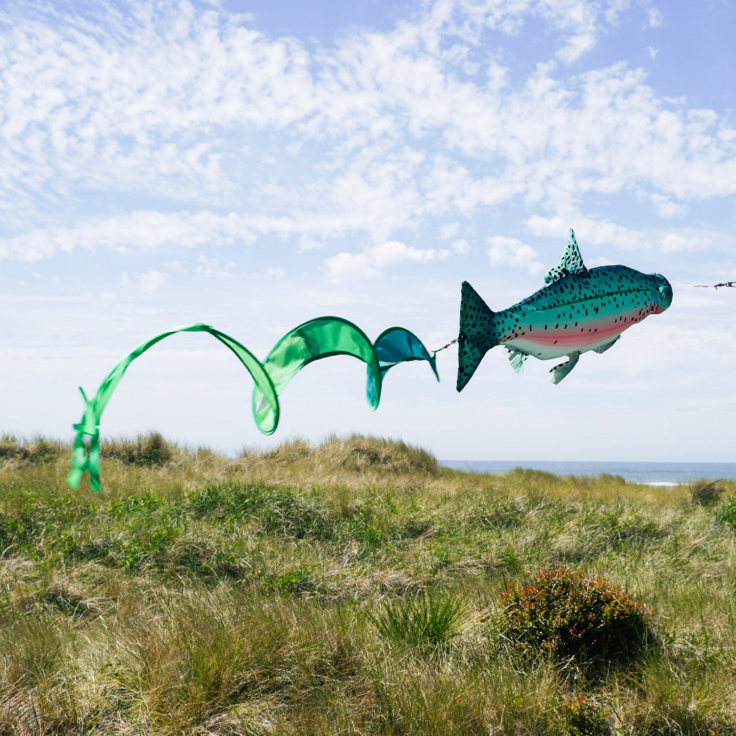 Rainbow Trout Spinner Tail wind sock with vibrant colors and spinning streamer tail, hanging outdoors in a garden setting.