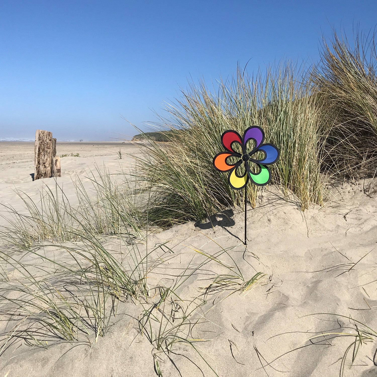 10-inch Rainbow Windee Wheelz Spinner with open-center petal design, spinning in the breeze among flowers in a garden setting.